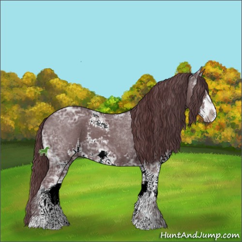 Horse Color:Chocolate Black Ice Sabino 
