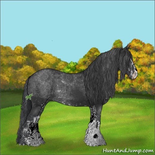 Horse Color:Black Sabino
