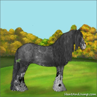 Horse Color:Black Sabino 