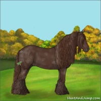 Horse Color:Liver Chestnut Sabino
