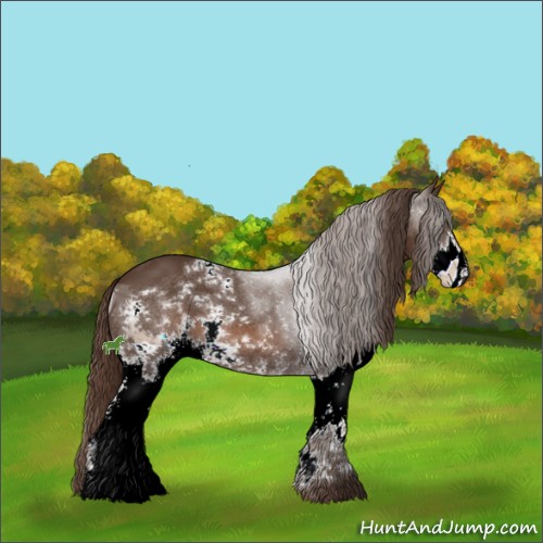 Horse Color:ERROR: UNKNOWN ANOMALY