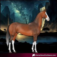 Horse Color:Bay Splash 