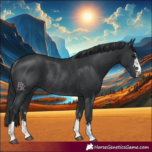 Horse Color:Black Rabicano