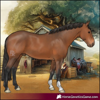 Horse Color:Bay 