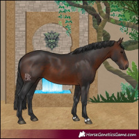 Horse Color:Brown 