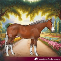 Horse Color:Silver Brown 