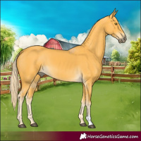 Horse Color:Palomino