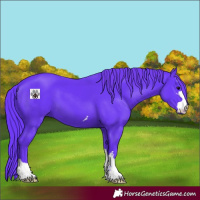 Horse Color:Watercolor Smoky Black 