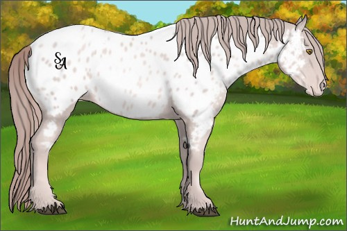 Horse Color:Platinum Chestnut Pearl Sabino Near Leopard 