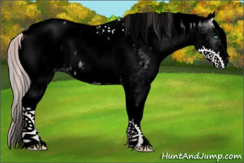 Horse Color:Void White Spotted Smoky Creme Near Leopard 