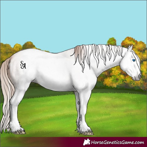 Horse Color:Gray Gold Champagne Roan Splash