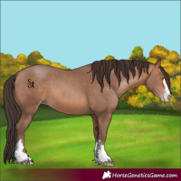 Horse Color:Sable Champagne 