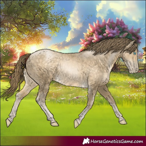 Horse Color:Buckskin Pearl Rabicano