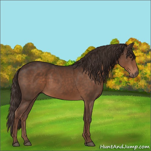 Horse Color:Liver Chestnut 
