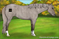 Horse Color:Silver Grullo Roan 