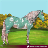 Horse Color:Watercolor White Spotted Chocolate Palomino 