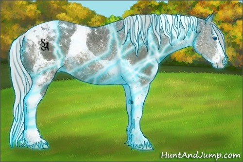 Horse Color:Thunderstruck Silver Black Sabino Splash Tobiano Rabicano 