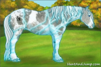 Horse Color:Thunderstruck Silver Black Sabino Splash Tobiano Rabicano
