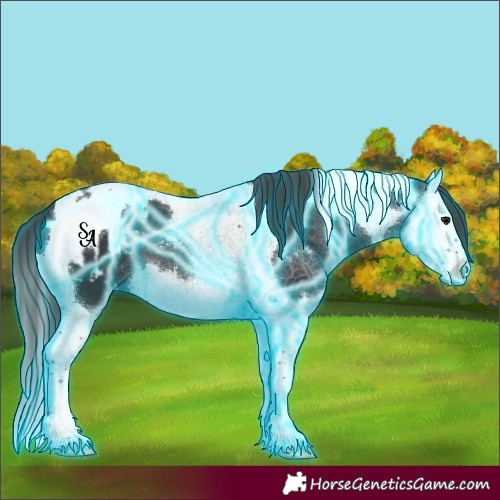 Horse Color:Thunderstruck Smoky Black Splash Tobiano Appaloosa 