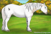 Horse Color:Silver Bay Dun Sabino Splash Tobiano Frame Rabicano 