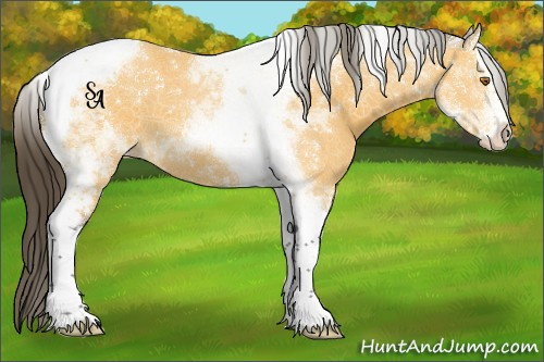 Horse Color:Buckskin Splash Tobiano Varnish
