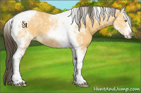 Horse Color:Buckskin Splash Tobiano Varnish 