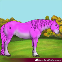 Horse Color:Watercolor Liver Chestnut 