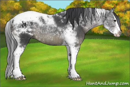 Horse Color:Black Splash Tobiano 