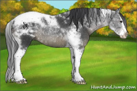 Horse Color:Black Splash Tobiano 