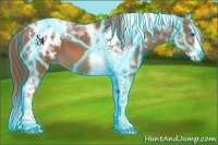 Horse Color:Thunderstruck Chestnut Sabino Splash Tobiano Appaloosa 