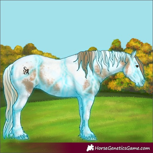 Horse Color:Thunderstruck Chestnut Splash Tobiano 