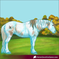 Horse Color:Thunderstruck Chestnut Splash Tobiano 