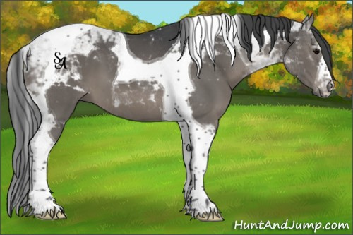 Horse Color:Black Tobiano 