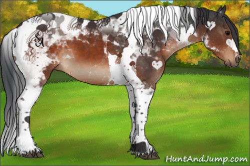 Horse Color:Brown Tobiano