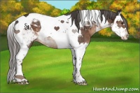Horse Color:Liver Chestnut Splash Tobiano Varnish Rabicano 