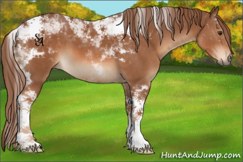 Horse Color:Chestnut Tobiano