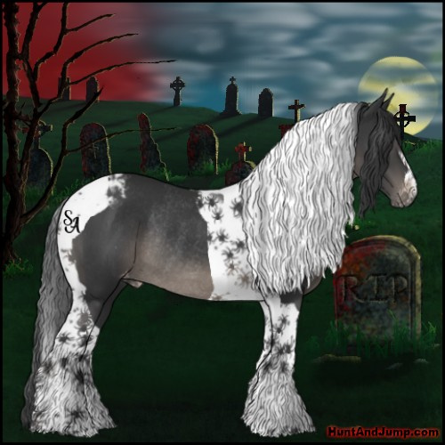 Horse Color:Black Tobiano Varnish Rabicano 
