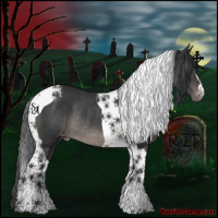 Horse Color:Black Tobiano Varnish Rabicano