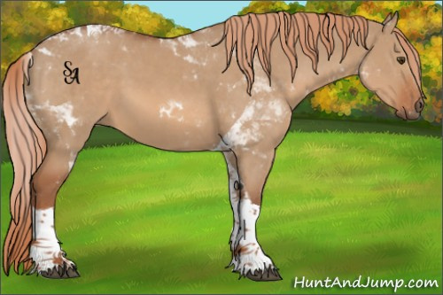 Horse Color:Red Dun Tobiano
