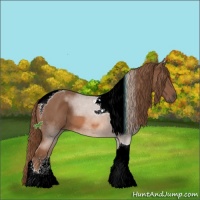 Horse Color:Chestnut Sabino Tobiano