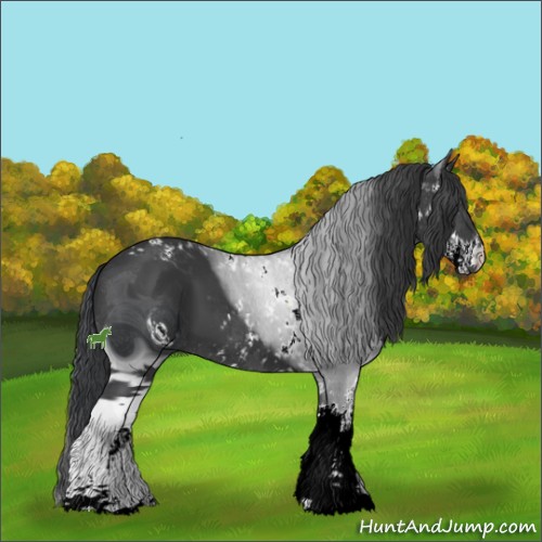 Horse Color:ERROR: UNKNOWN ANOMALY