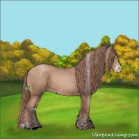 Horse Color:Chocolate Black Pearl Sabino 