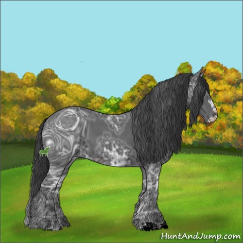 Horse Color:ERROR: UNKNOWN ANOMALY