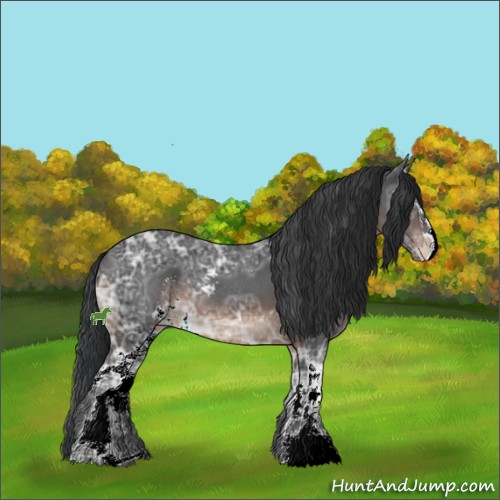 Horse Color:White Spotted Brown Ice Sabino