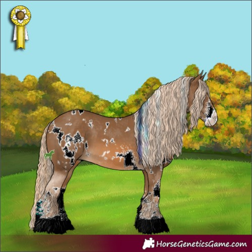 Horse Color:White Spotted Chocolate Palomino Sabino 