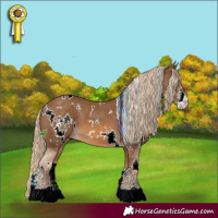Horse Color:White Spotted Chocolate Palomino Sabino 