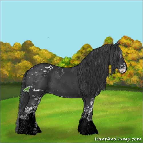 Horse Color:ERROR: UNKNOWN ANOMALY