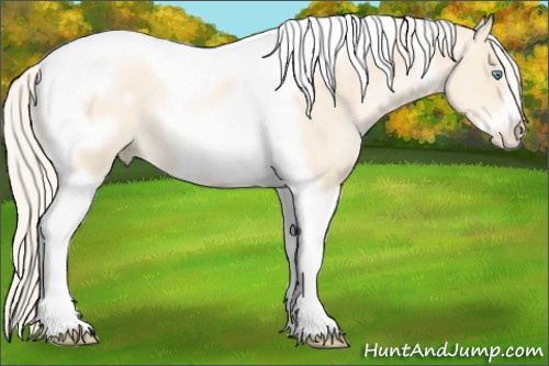 Horse Color:Gold Cream Champagne Pearl Tobiano Frame 