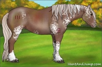 Horse Color:White Spotted Chocolate Silver Black Tobiano 
