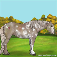 Horse Color:White Spotted Chocolate Silver Black 